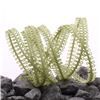 Order  Loopy Cord - Willow